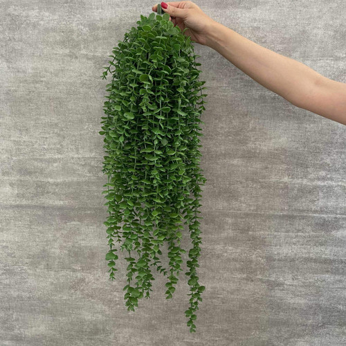 شمشاد آویز 16 شاخه