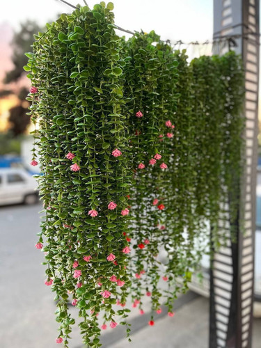 شمشاد آویز مصنوعی